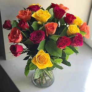 20 Multicolor Roses