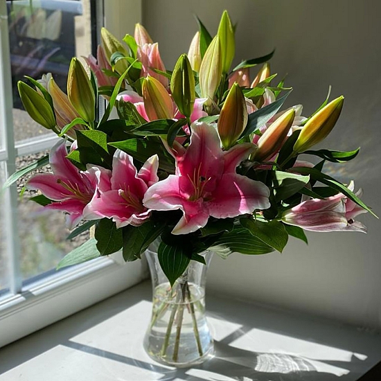 Blush Lilies Subscription Delivery UK