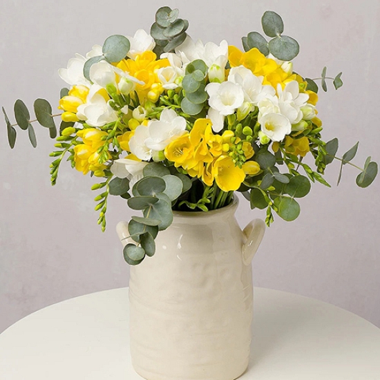 Spring Freesias Flowers Delivery by Post UK ExpressGiftService
