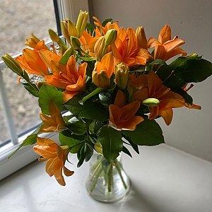 Lilies Passion