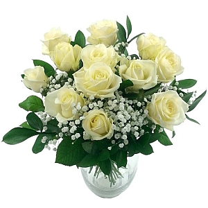 12 White Roses