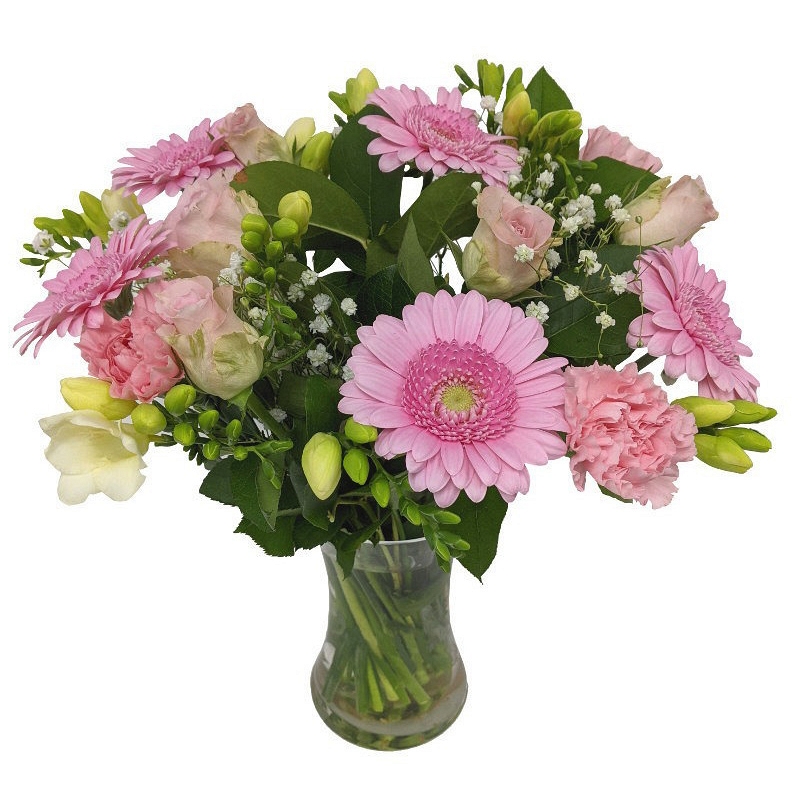 Gerbera Celebration Flowers Delivery by Post ExpressGiftService