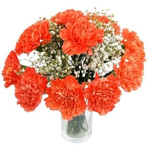 Orange Carnations